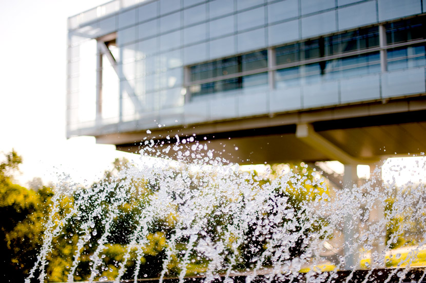 dsc_2877web